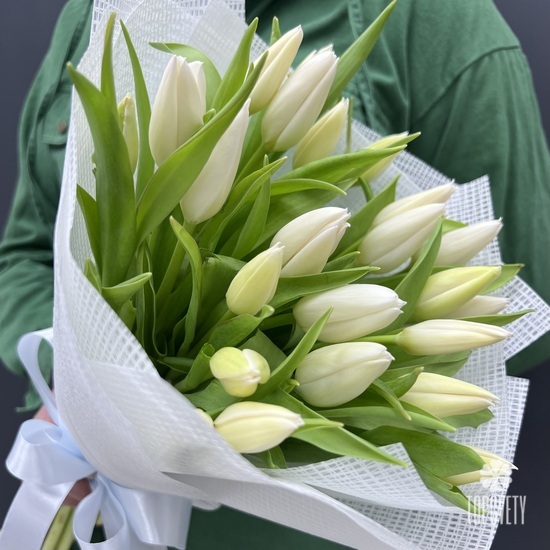 Букет из 25 тюльпанов 