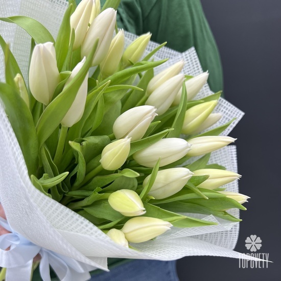 Букет из 25 тюльпанов 