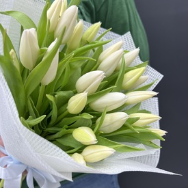 Букет из 25 тюльпанов 
