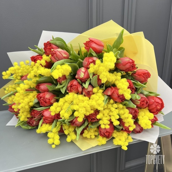 Букет из 51 красного пионовидного тюльпана и мимозы