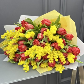 Букет из 51 красного пионовидного тюльпана и мимозы