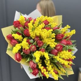 Букет из 51 красного пионовидного тюльпана и мимозы