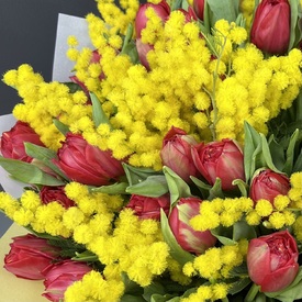 Букет из 51 красного пионовидного тюльпана и мимозы