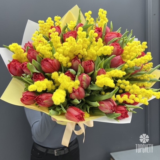 Букет из 51 красного пионовидного тюльпана и мимозы