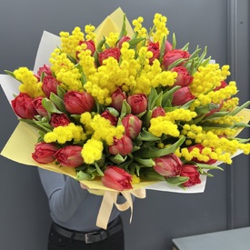 Букет из 51 красного пионовидного тюльпана и мимозы