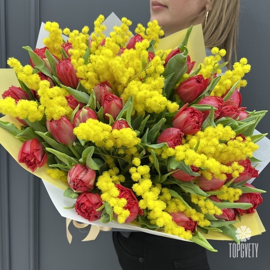 Букет из 51 красного пионовидного тюльпана и мимозы