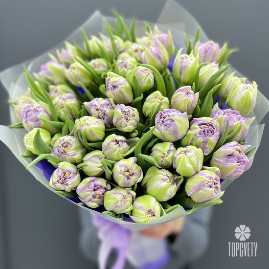 Букет из 51 сиреневого пионовидного тюльпана