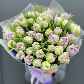 Букет из 51 сиреневого пионовидного тюльпана