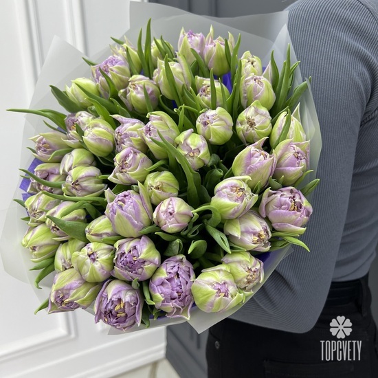 Букет из 51 сиреневого пионовидного тюльпана