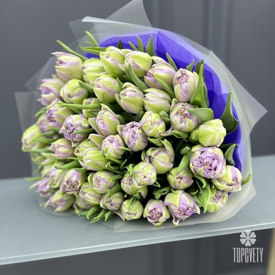 Букет из 51 сиреневого пионовидного тюльпана