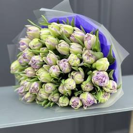 Букет из 51 сиреневого пионовидного тюльпана