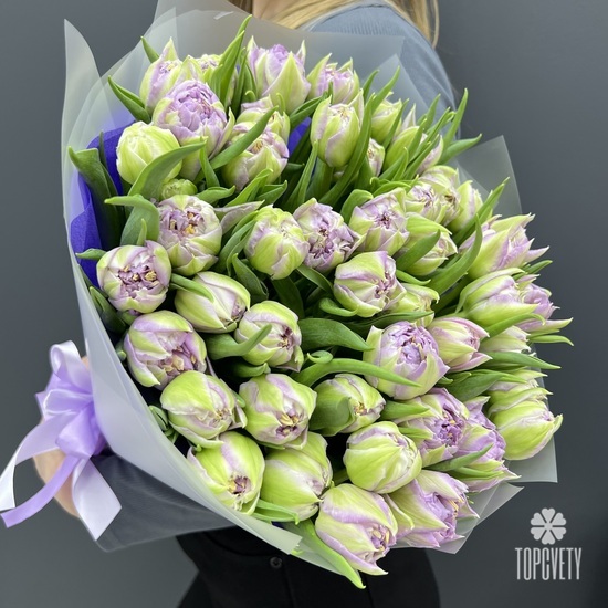 Букет из 51 сиреневого пионовидного тюльпана