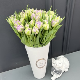 Букет из 51 сиреневого тюльпана в коробке