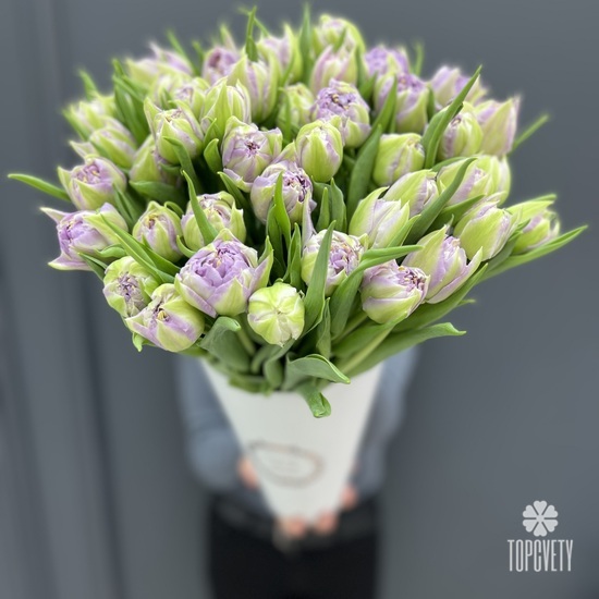 Букет из 51 сиреневого тюльпана в коробке