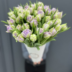 Букет из 51 сиреневого тюльпана в коробке