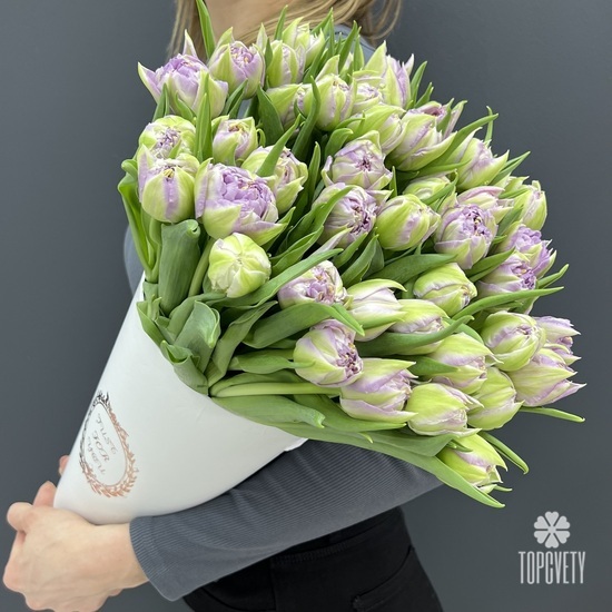 Букет из 51 сиреневого тюльпана в коробке