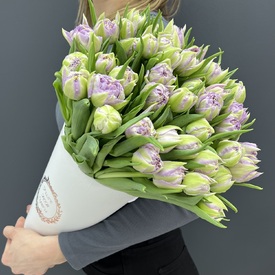 Букет из 51 сиреневого тюльпана в коробке