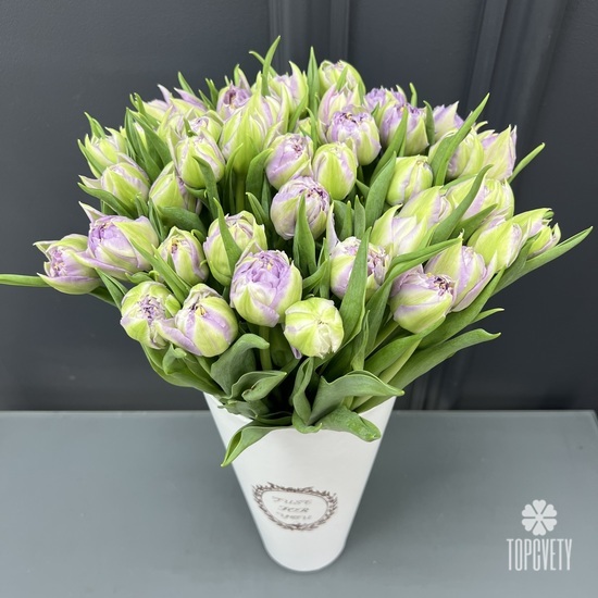 Букет из 51 сиреневого тюльпана в коробке