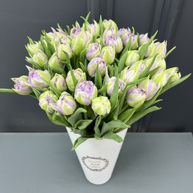 Букет из 51 сиреневого тюльпана в коробке