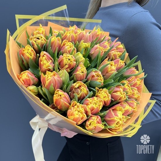 Букет из 51 желто-красного пионовидного тюльпана Голландия