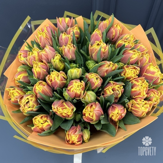 Букет из 51 желто-красного пионовидного тюльпана Голландия