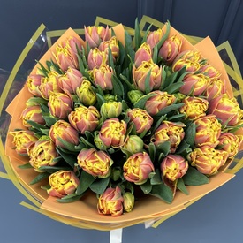 Букет из 51 желто-красного пионовидного тюльпана Голландия