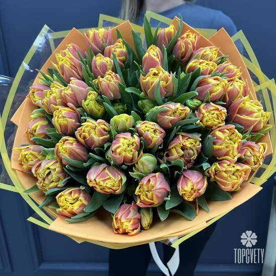 Букет из 51 желто-красного пионовидного тюльпана Голландия