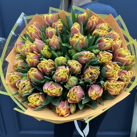 Букет из 51 желто-красного пионовидного тюльпана Голландия