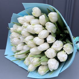 Букет из 51 белого пионовидного тюльпана