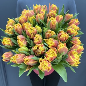 Букет из 51 желто-красного пионовидного тюльпана в коробке