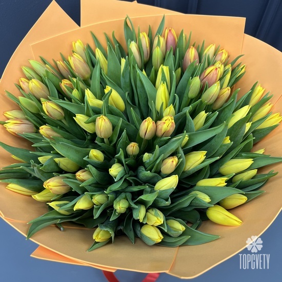 Букет из 101 тюльпана микс
