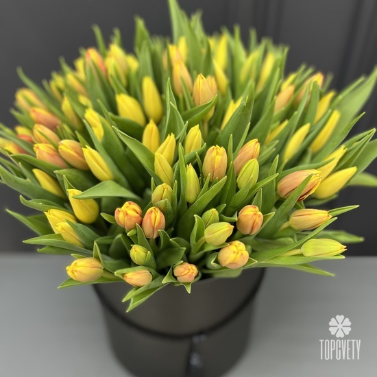 Букет из 101 тюльпана в коробке
