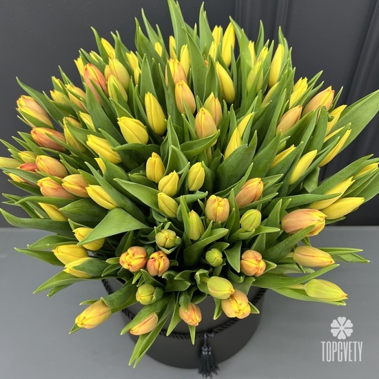 Букет из 101 тюльпана в коробке