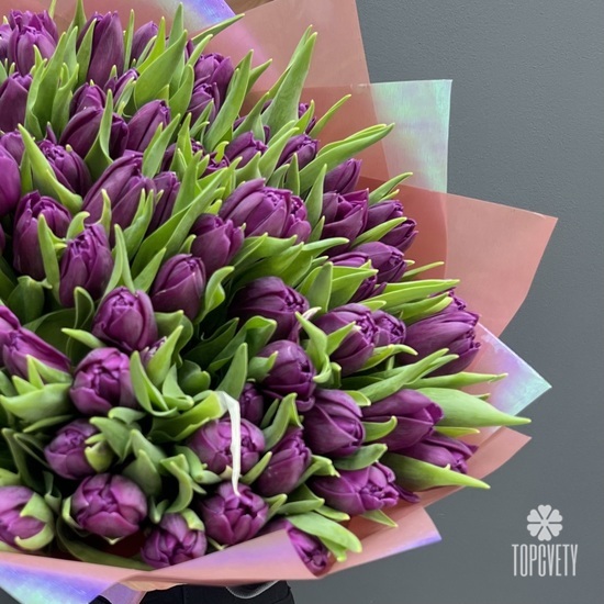 Букет из 101 сиреневого пионовидного тюльпана