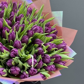Букет из 101 сиреневого пионовидного тюльпана