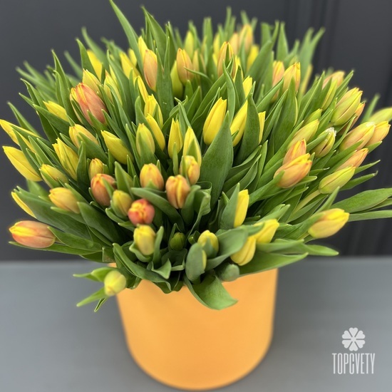 Букет из 101 желтого тюльпана в коробке