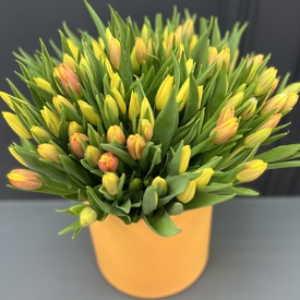 Букет из 101 желтого тюльпана в коробке