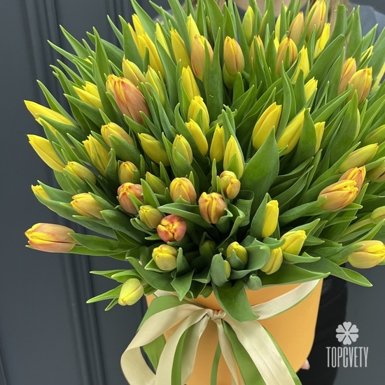 Букет из 101 желтого тюльпана в коробке