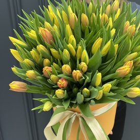 Букет из 101 желтого тюльпана в коробке