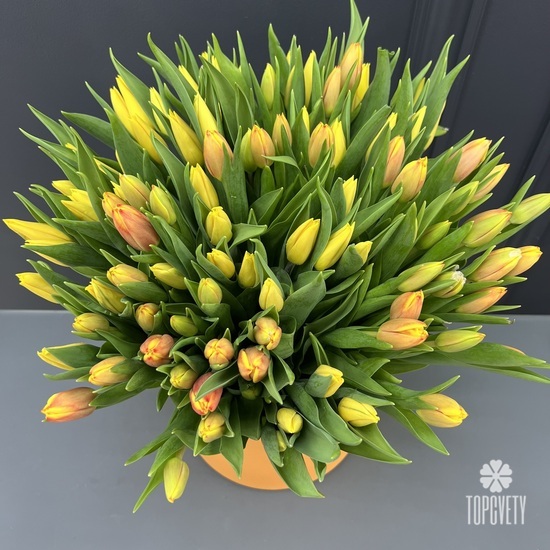 Букет из 101 желтого тюльпана в коробке