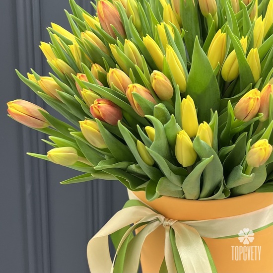 Букет из 101 желтого тюльпана в коробке