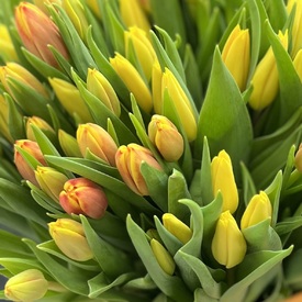 Букет из 101 желтого тюльпана в коробке