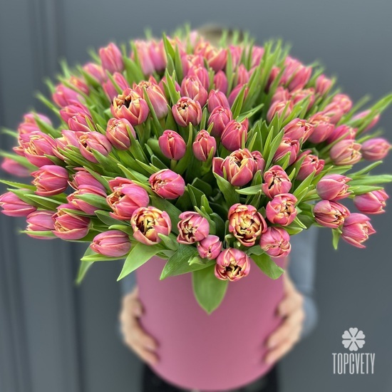 Букет из 101 розового пионовидного тюльпана в коробке