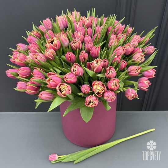 Букет из 101 розового пионовидного тюльпана в коробке