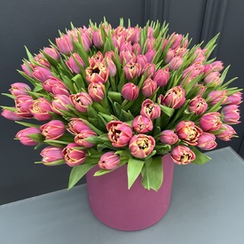 Букет из 101 розового пионовидного тюльпана в коробке