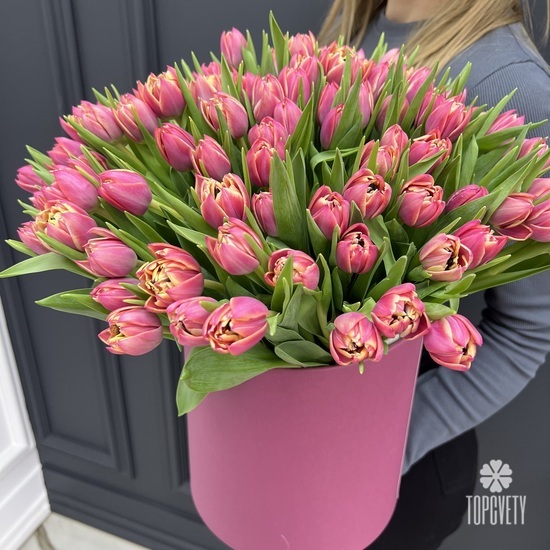 Букет из 101 розового пионовидного тюльпана в коробке