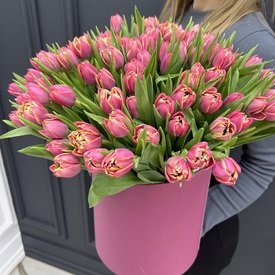 Букет из 101 розового пионовидного тюльпана в коробке