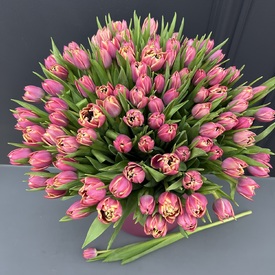 Букет из 101 розового пионовидного тюльпана в коробке