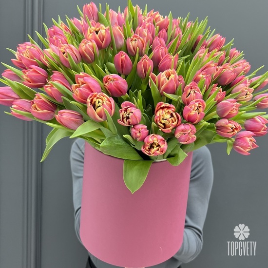 Букет из 101 розового пионовидного тюльпана в коробке