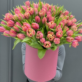 Букет из 101 розового пионовидного тюльпана в коробке
